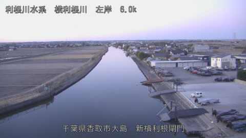 yoko2026010407_image