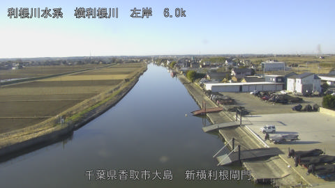 yoko2026010409_image