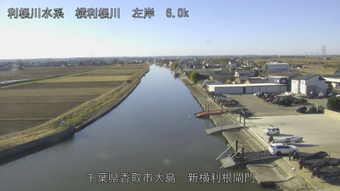 yoko2026010410_image