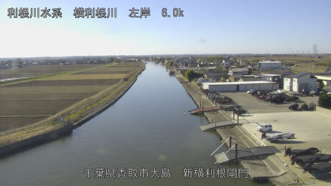 yoko2026010411_image