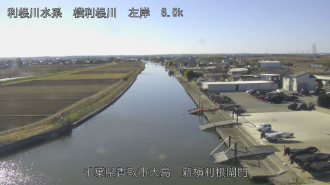 yoko2026010412_image