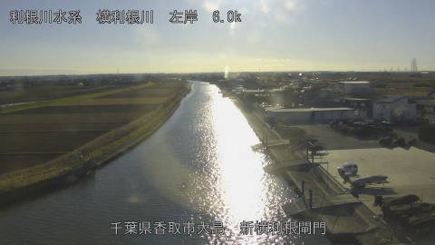 yoko2026010415_image