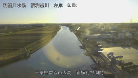 yoko2026010416_image