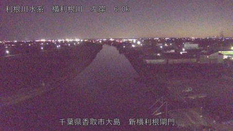 yoko2026010418_image