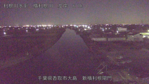 yoko2026010419_image