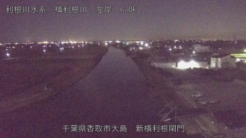 yoko2026010420_image