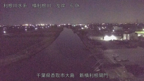 yoko2026010423_image