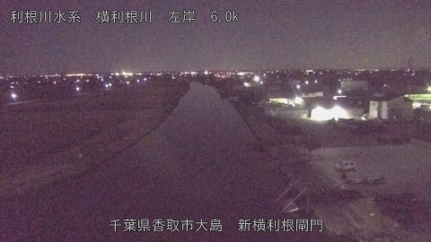 yoko2026010500_image