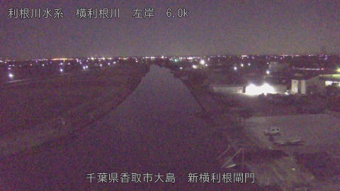 yoko2026010501_image