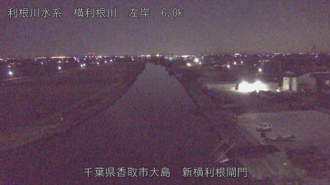 yoko2026010502_image