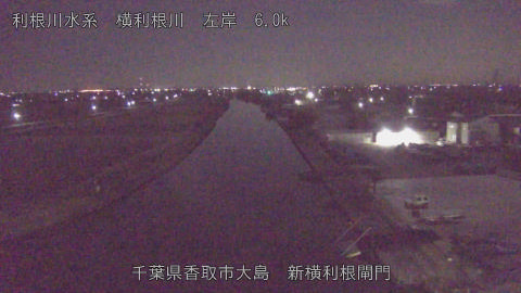 yoko2026010503_image