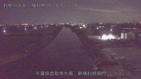 yoko2026010504_image