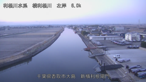 yoko2026010507_image