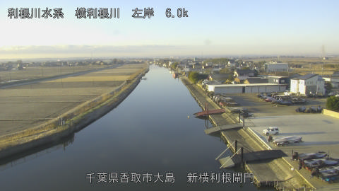 yoko2026010508_image