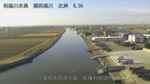 yoko2026010509_image