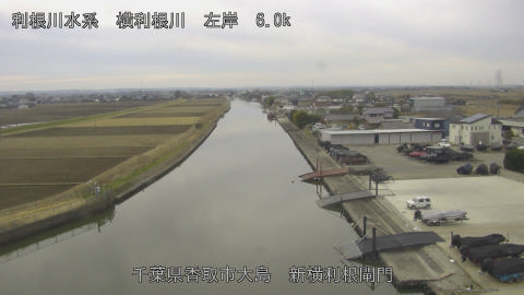 yoko2026010511_image