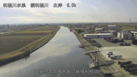 yoko2026010512_image