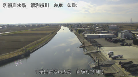 yoko2026010513_image