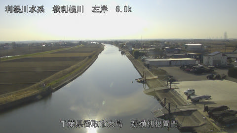 yoko2026010514_image