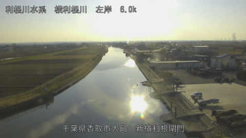 yoko2026010515_image