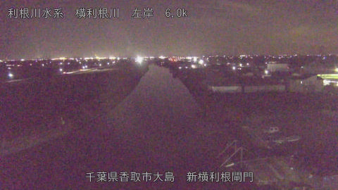 yoko2026010519_image