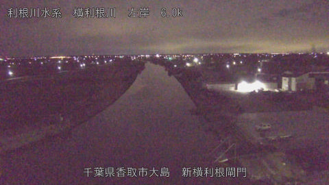 yoko2026010604_image