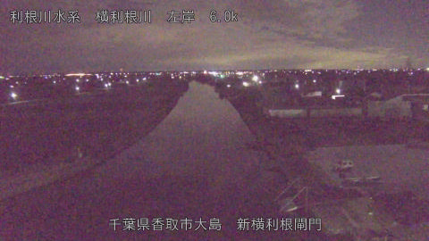 yoko2026010606_image