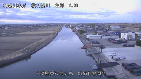 yoko2026010607_image