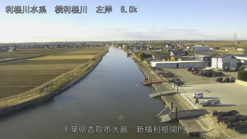 yoko2026010609_image