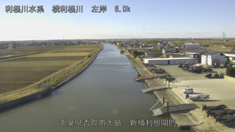 yoko2026010610_image