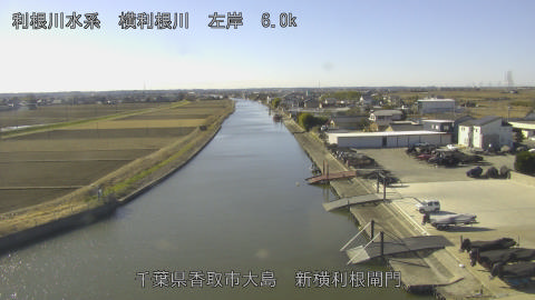 yoko2026010611_image