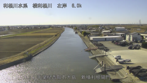 yoko2026010612_image