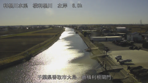 yoko2026010614_image