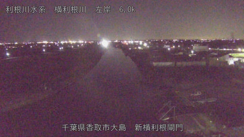 yoko2026010619_image