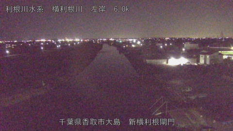 yoko2026010620_image