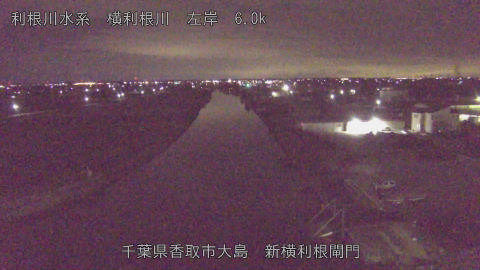 yoko2026010701_image