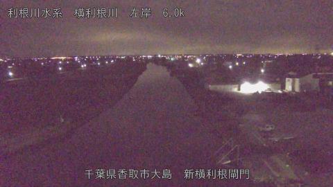 yoko2026010704_image