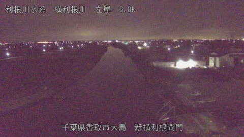 yoko2026010705_image