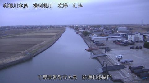 yoko2026010707_image