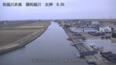 yoko2026010708_image