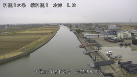 yoko2026010709_image