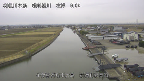 yoko2026010710_image