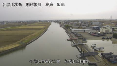 yoko2026010711_image