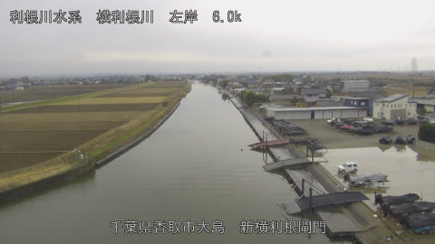 yoko2026010712_image