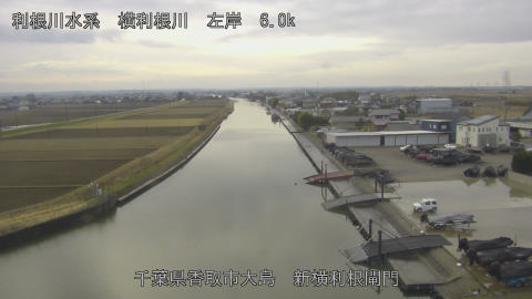 yoko2026010713_image