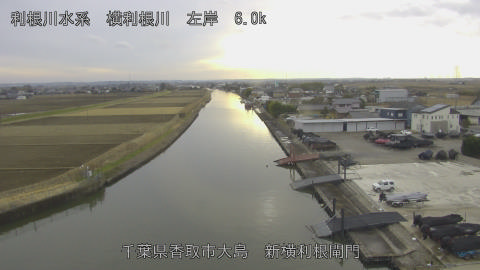 yoko2026010715_image