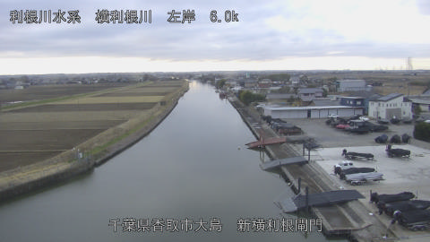 yoko2026010716_image