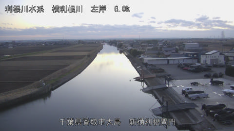 yoko2026010717_image