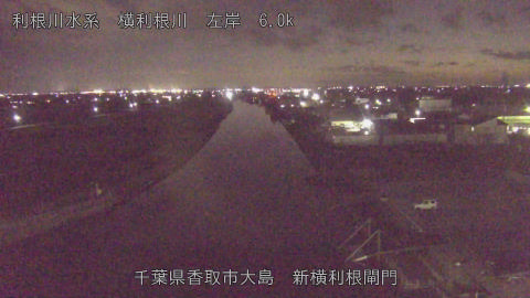 yoko2026010718_image