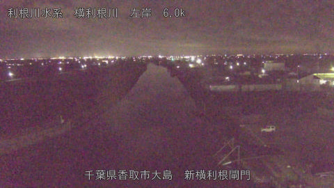 yoko2026010719_image